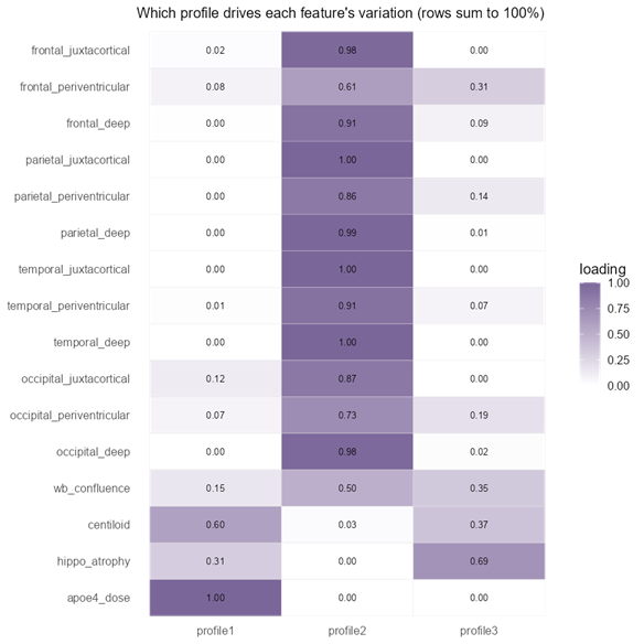 A diagram showing three profiles identified through NMF. On the left are factors considered as part of the analysis and scores in three columns are shaded purple with deeper colours indicating a higher load. 